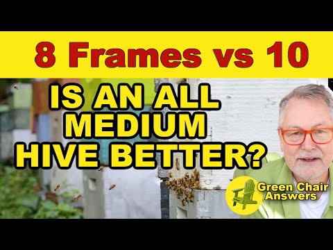 Beekeeping Hives: Which Is Better, 10 or 8 Frame Hive?