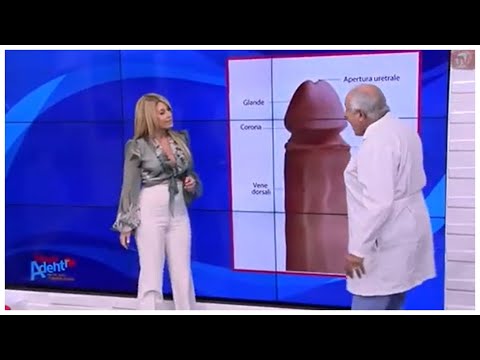 Cómo funciona la erección del pene I Hasta Adentro I UniVista TV