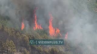 Zjarr në Qaf Buall, flakët përpijnë në pak minuta masivin me pishë të zezë, pamje "apokaliptike"