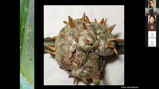 Integrate Pest Management in Nursery Production - Dr. JC