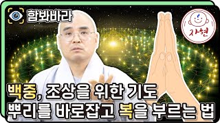 [함봐바라]자현스님이 알려주는 유교와 불교 효도의 결정적 차이