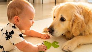 Baby Gently Explores Her Golden Retriever