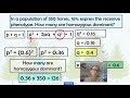 Genetic Frequency Calculations