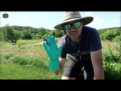The Good And The Bad Of Summer Lawn Care