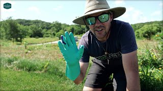 The Good And The Bad Of Summer Lawn Care
