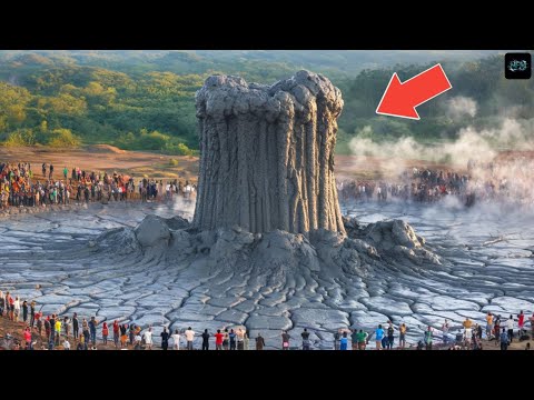 150 Most Unbelievable Nature Moments Ever Caught on Camera