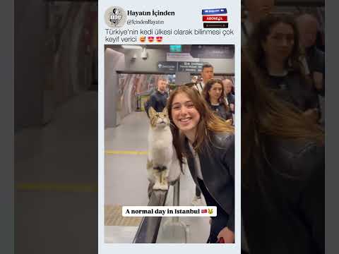 Ben Senin Tipini Yerim Minnoş 😍😍