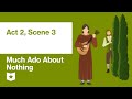 Themes and Deception in Much Ado About Nothing