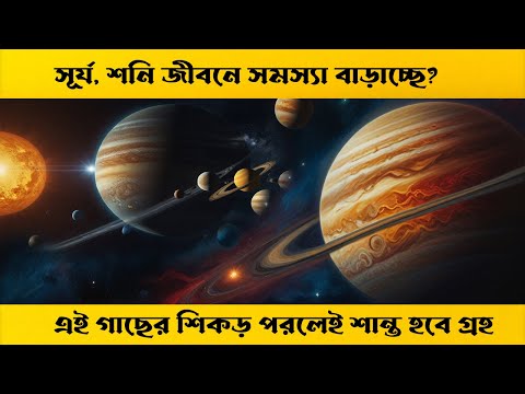 সূর্য, শনি জীবনে সমস্যা বাড়াচ্ছে? এই গাছের শিকড় পরলেই শান্ত হবে গ্রহ | Bad Planetary Effect#jotish