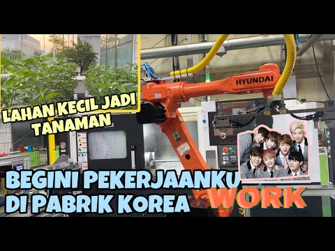 BEGINI PEKERJAANKU DI KOREA | MAKSIMALKAN LAHAN SEMPIT JADI TANAMAN