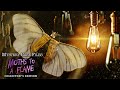 Video for Mystery Case Files: Moths to a Flame Collector's Edition