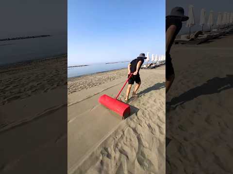 Treasure Hunt: Dollars Buried in the Beach!