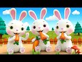 Hoạt động của thỏ trong ngày Tết