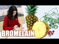 Bromelain and Gelatin Experiment Analysis
