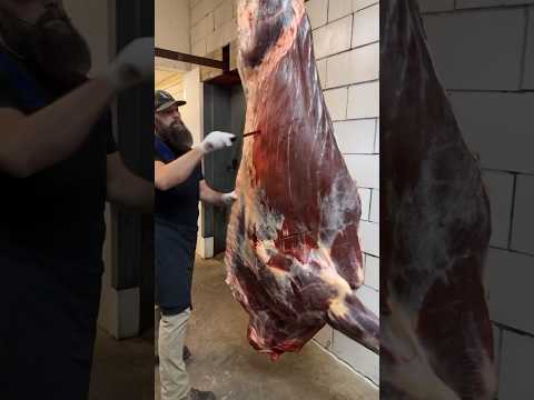 Breaking down bison. ๐ช๐ฆฌ๐ฅฉ #shorts #shortsvideo #fyp #viral #trending