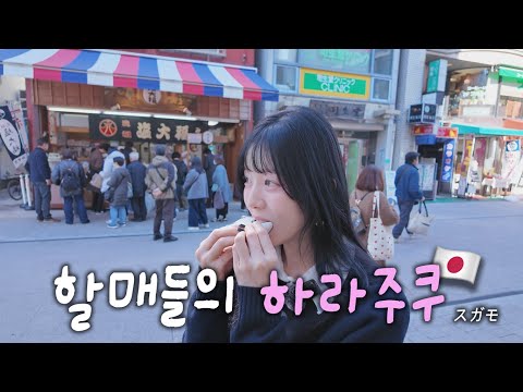 일본 할머니들의 최애동네인데 내가 더 즐거운 이유는 뭐지 💝🌻(ft.스가모)