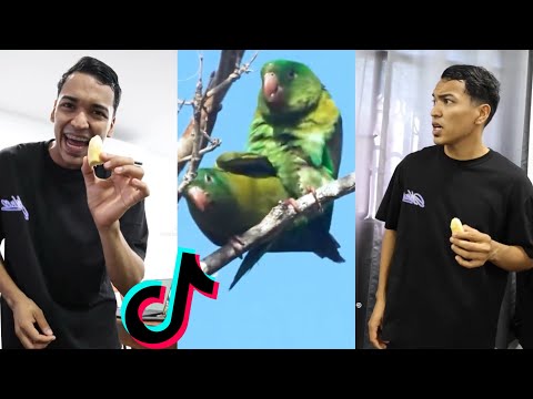 KIWI NO QUIERE LA BANANA DE LARIN | RIETE CON LAS OCURRENCIAS DE ALFREDO LARIN Y SUS AMIGOS