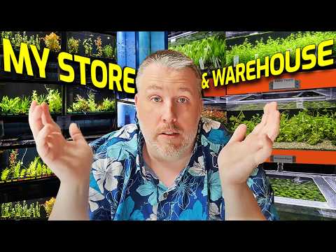 My 16 Years of Planted Aquarium Experience in 1 Video