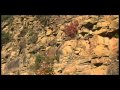 Exploring the Formation of the Appalachians and Himalayas
