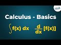 Understanding Calculus Concepts and Applications