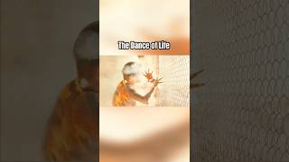 The Dance of Life