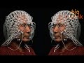 Understanding Emotions and Brain Evolution