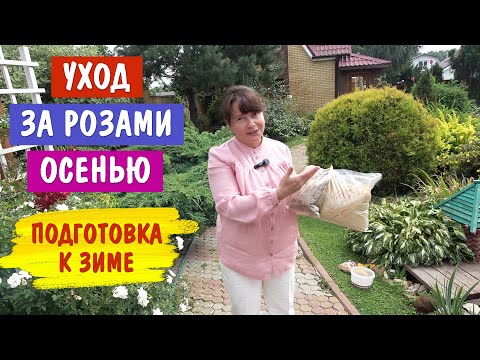 СЕНТЯБРЬ - не забудьте про РОЗЫ. Уже готовим к зиме, не упустите время!