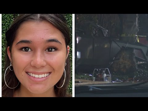 Family of deadly Cybertruck crash victim sues Tesla claiming car's design didn't allow her to escape