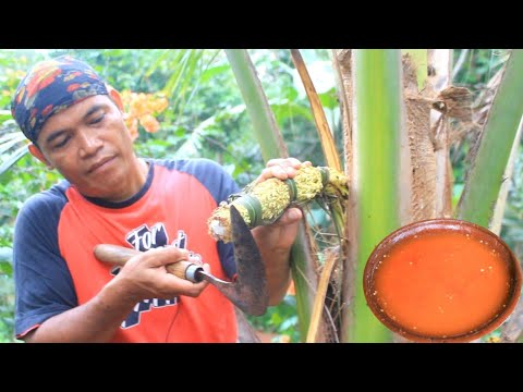 Sambal badeg /nira kelapa entog daun kenikir rebus mendoan tempe pete