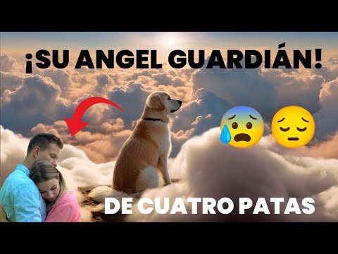 ADOPTARON A UN PERRO... Y AHORA LOS PROTEGE DESDE EL CIELO...😲😰