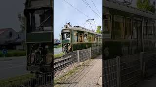 Sonderfahrt in Heidelberg | Trams in Germany | Indians in Germany #sonderfahrt #rnv #heidelberg