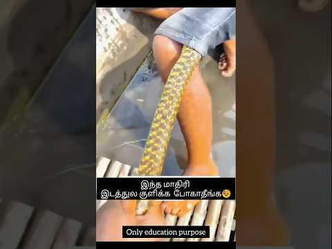 இந்த இடத்தில் குளிக்க போகாதீங்க #tamilshorts #shorts
