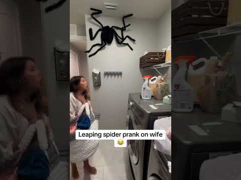 Spider pranks never go out of style.#funnyvideo #funny #funnyprank #scare #haha #scarecam #fyp