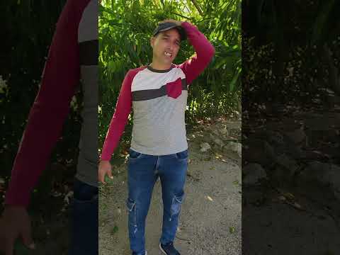 con quien dejaste las vacas #comedia #humor #shortvideo