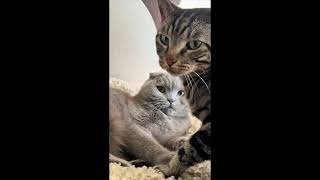 These two have so much drama! 