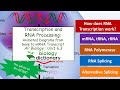 RNA Processing and Transcription Functions