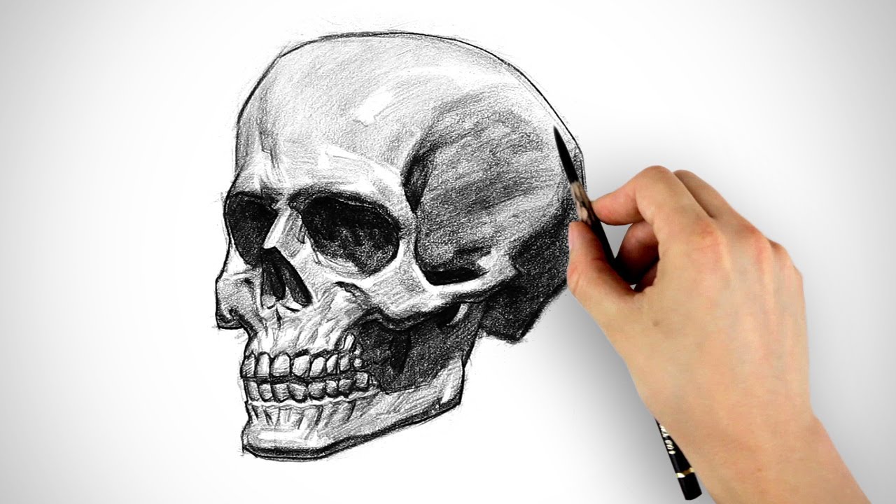 Draw a Skull - Halloween Special - Proko