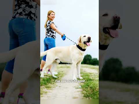 When she realized what was coming out of her neighbor's dog, she immediately called the……. #shorts