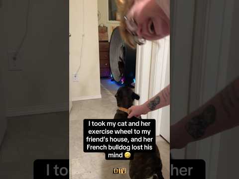 What’s he saying 😂😅                          #dog #cat #animals #funnyanimals