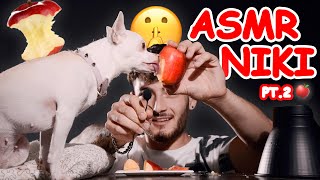 ASMR of a Niki the mad chihuahua eating an Apple?!? | PT.2