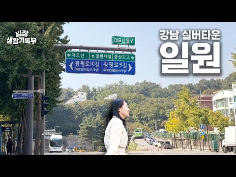 강남이지만 강남 안 같은 동네 | 임장생활기록부