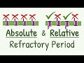 Sodium Channel Function and Action Potentials
