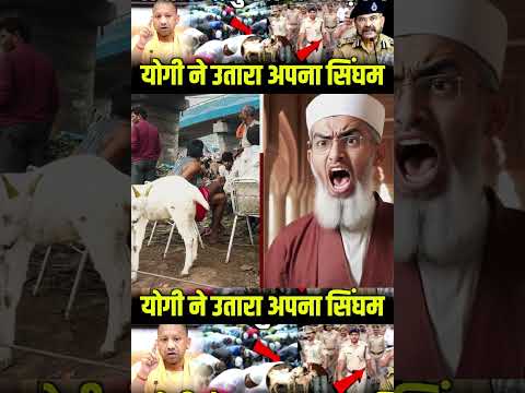 | Yogi's order on Bakrid | CM Yogi Bakrid | Story of Bakrid | What is Bakrid |