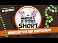 Protein Synthesis Processes and Functions