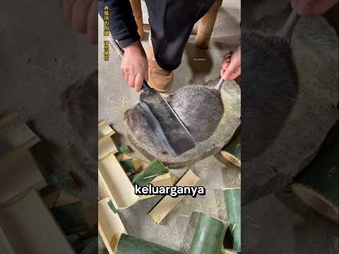 Wanita ini dikelilingi tikus raksasa