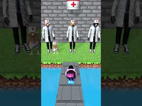 Chicken, poor Cat Vs Dog cute? Which animal can find an owner to get the doctor hat?