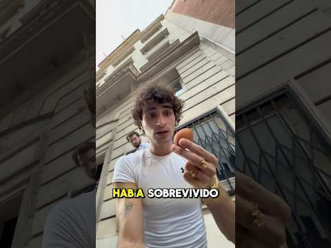 EL HUEVO DE UNA PALOMA ME ATACÓ