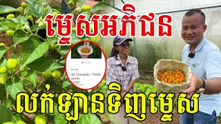 ម្ទេសអភិជន លក់ឡានទិញម្ទេស មាឌតូចតែខ្លឹម