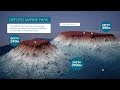 Gifford Marine Park and Geology