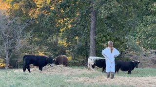 farm vlog feed my animals with me !! ps i’m back